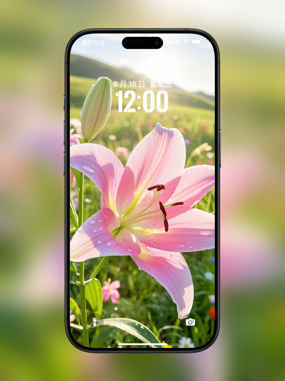 百合网下载手机版(百合网下载手机版最新版)-第2张图片-QuickQ官网