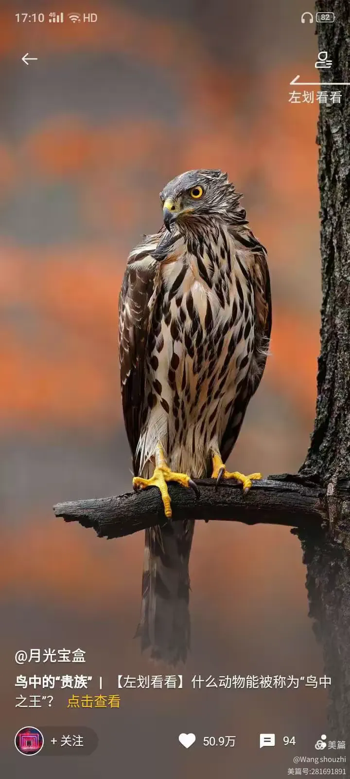 百乐飞禽走兽手机版(飞禽走兽游戏电脑版下载)-第2张图片-QuickQ官网