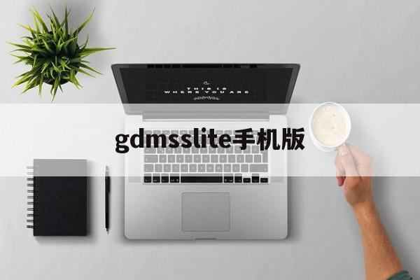 gdmsslite手机版(gdmsslitev353001)