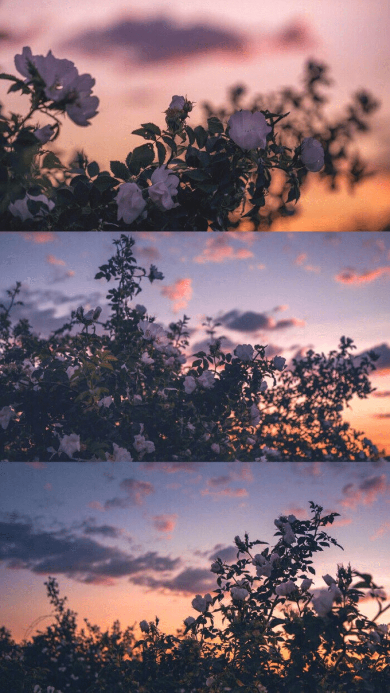 多屏推推苹果手机版(多屏互动iphone)