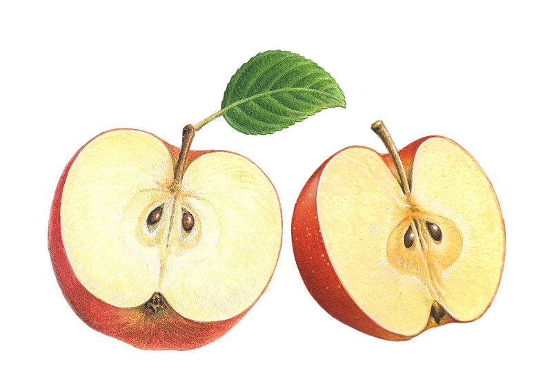 苹果画版(苹果画板是什么产品)