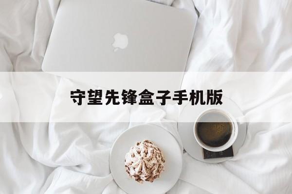 守望先锋盒子手机版(守望先锋盒子多少钱一个)-第2张图片-QuickQ官网